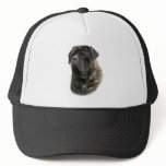 Mastiff hats