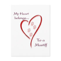 Mastiff Heart Belongs Postcards