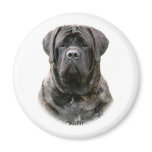 Mastiff magnets