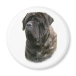 Mastiff magnets