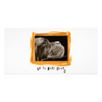 Mastiff Photo Greeting Card