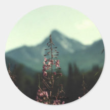 Matanuska Peak and Fireweed #01, (C) Jack Taylor Sticker