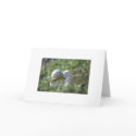 Mated for Life cards