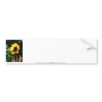maternal sunflower bumper sticker