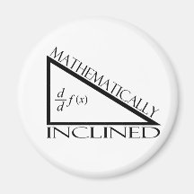 Mathematically Inclined Refrigerator Magnets