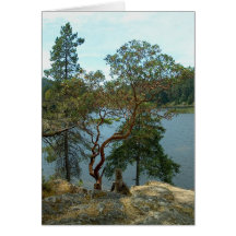 Matheson Lake, British Columbia Greeting Cards