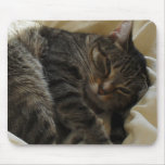 Matilda in Bed Mousemat