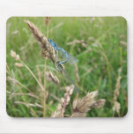 Mating Damselflies at Chimney Meadows Mouse Pad