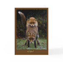 Mating Foxes Cards