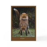 Mating Foxes cards
