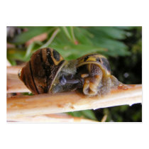 Mating Snails ~ ATC Business Card
