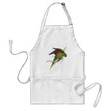Maton’s Parrakeet by Edward Lear Aprons