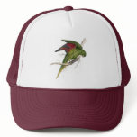 Maton’s Parrakeet by Edward Lear hats