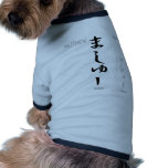 Matthew pet clothing