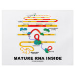 Mature RNA Inside flyers
