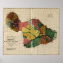 Maui, 1885, Vintage Antiquarian Hawaii Map posters