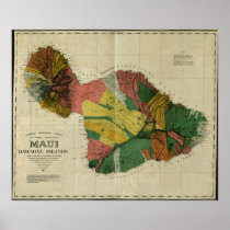 Maui, 1885, Vintage Hawaii Map Print