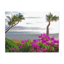 Maui Beach Postcard