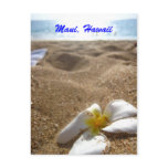 Maui, Hawaii Postcard