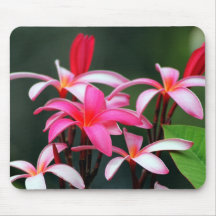 Maui Plumeria Mouse Pad