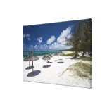 Mauritius, Eastern Mauritius, Belle Mare, Stretched Canvas Print