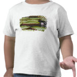 Mauritius, Pamplemousses, SSR Botanical T-shirts