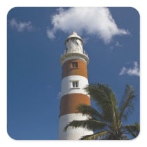 Mauritius, Western Mauritius, Belle Vue, Albion