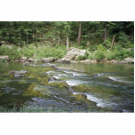 Maury River at Goshen Pass, Virginia photo sculptures