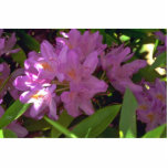 Mauve Coloured Flowers photo sculptures