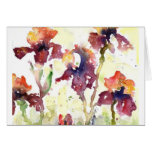 mauve irises cards