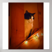 Max on the Stairs Posters
