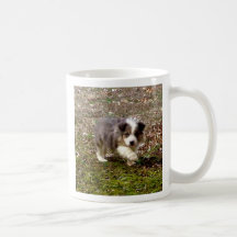 Maximillion... Mug