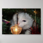 Maxwell posters