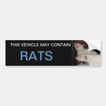 may contain rats bumper sticker