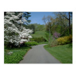 May Flowers Post Card