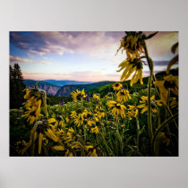 May Flowers Print