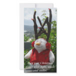 May your Christmas dance with light... photo cards