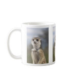 Maybelline mugs