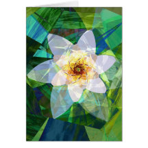 Mayflower Card