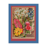 Mayflower Seed Packet Vintage Illustration Post Card