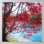 Maymont Gardens Red Maple Tree Virginia Poster Art posters