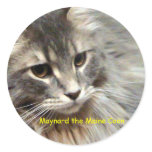 Maynard the Maine Coon stickers