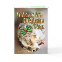 MC Dixie Christmas-customise