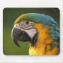 McCaw Mousepad