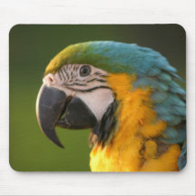 McCaw Mousepad