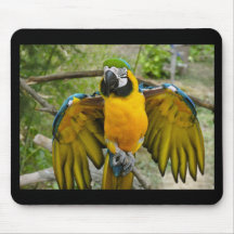 McCaw Mousepad