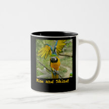 McCaw Rise & Shine Mug