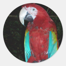 McCaw Round Stickers