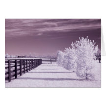 McGuire Farm Card