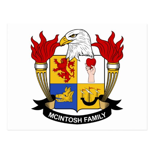 McIntosh Family Crest Postcard Zazzle